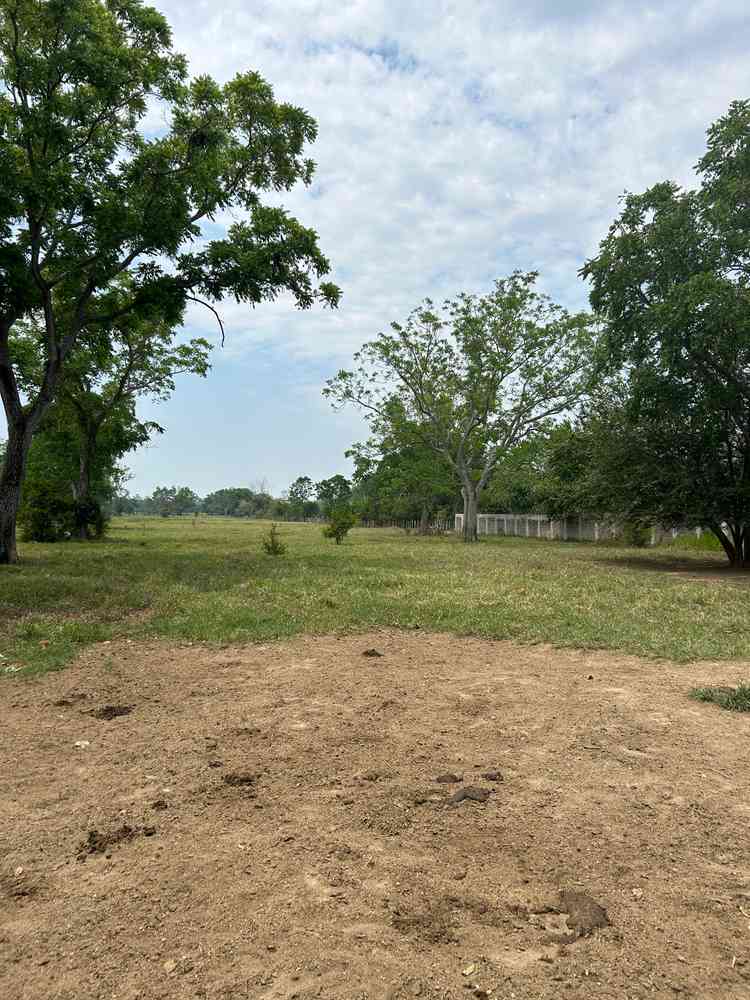 terreno en venta primera seccion pablo l sidar centro tabasco pl5baEM
