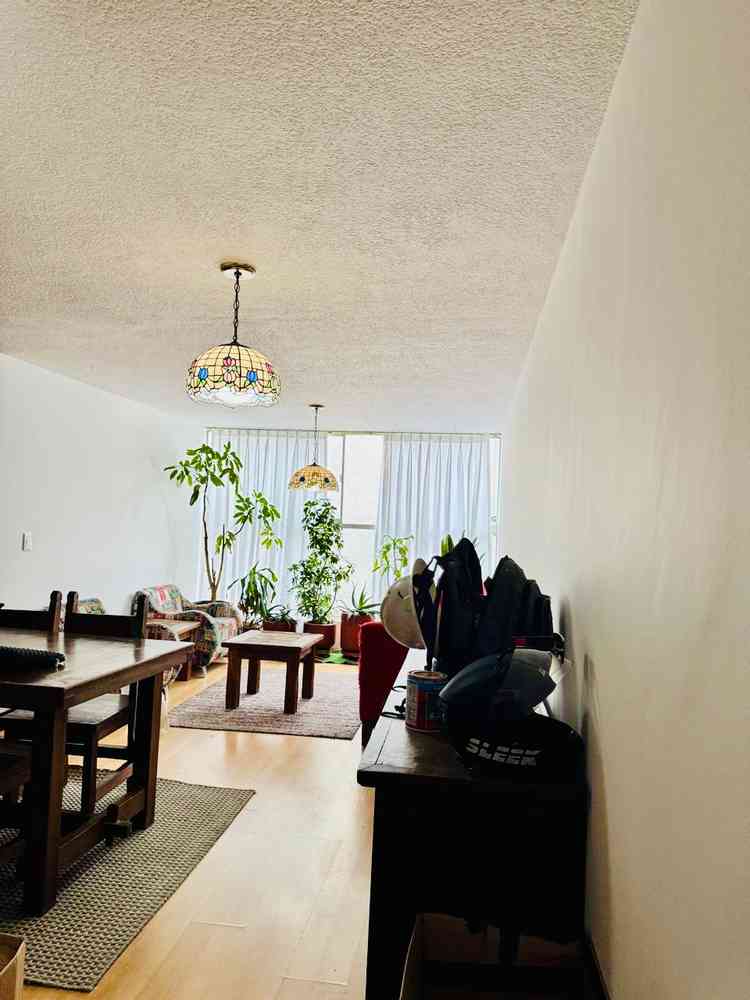 departamento en renta luis carracci san juan benito juarez cdmx pC6vgRo