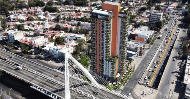 Foto de la galeria de imagenes