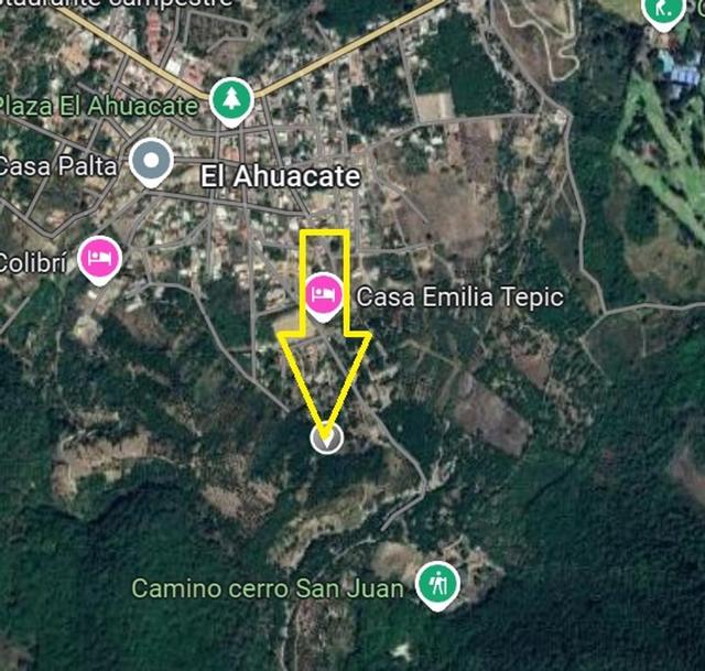 Foto de la galeria de imagenes
