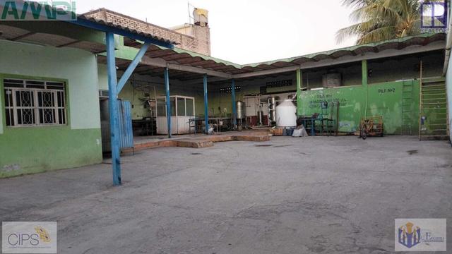 Foto de la galeria de imagenes