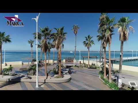 Previsualización del video